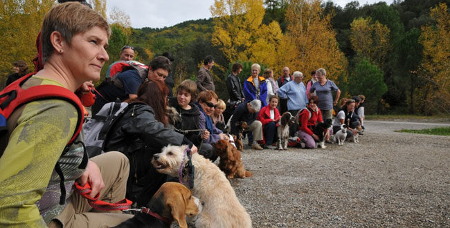 randonnée club active dog randonnée club active dog