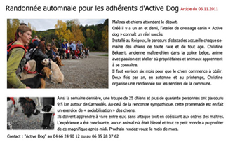 cours éducation active-dog