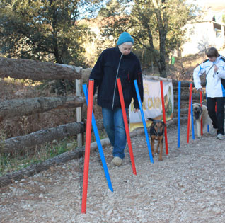 cours adultes active-dog