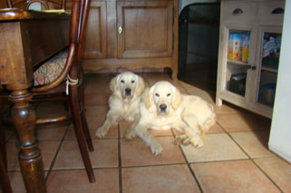 lady et guapa lady et guapa