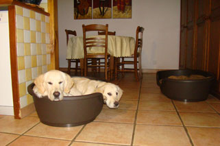 lady et guapa lady et guapa